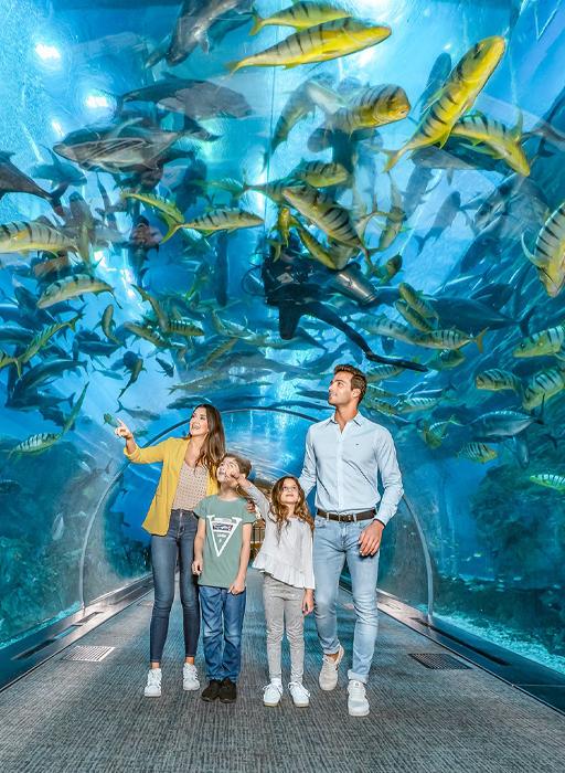 Dubai Kids Special with FREE Tickets To Aquaventure Waterpark
