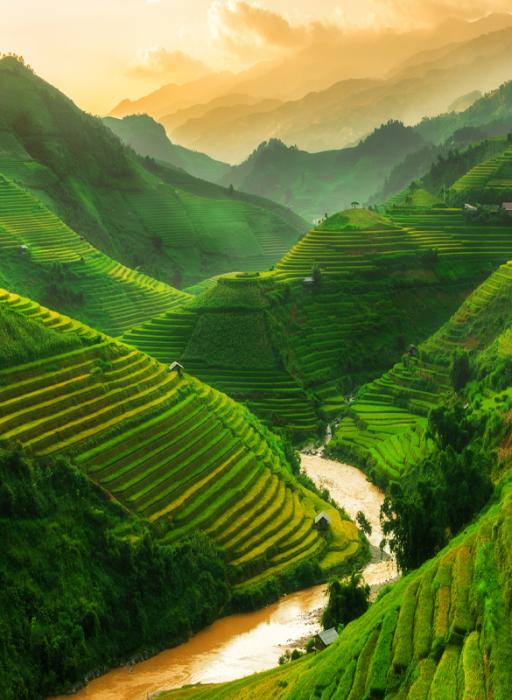 Escape to Vietnam
