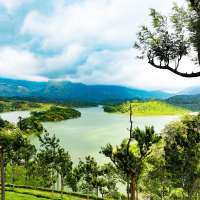 Mattuppetty Dam- Munnar